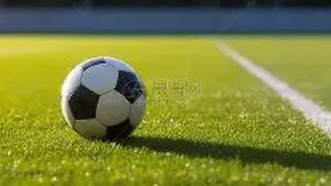 德国杯半决赛：斯图加特力克莱比锡挺进决赛